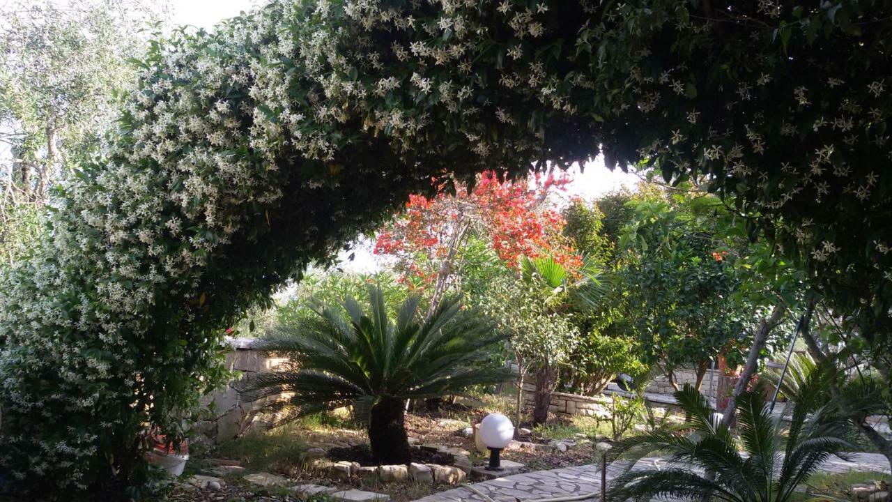 Villa Loulaki Magazia Paxi Arvanitakeika Exteriér fotografie