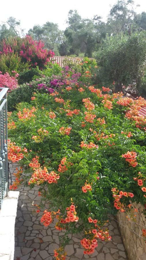 Villa Loulaki Magazia Paxi Arvanitakeika Exteriér fotografie