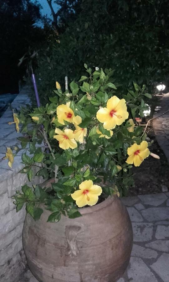 Villa Loulaki Magazia Paxi Arvanitakeika Exteriér fotografie