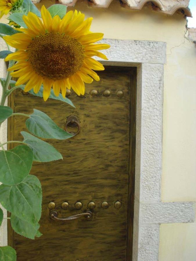 Villa Loulaki Magazia Paxi Arvanitakeika Exteriér fotografie